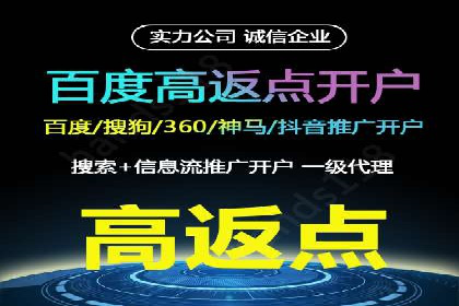 网络推广秘籍：竞价排名成功案例集锦